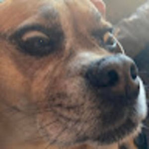 Meet your Posher, Dylan